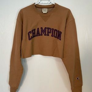 BRAND NEW Champion cropped crewneck sweater